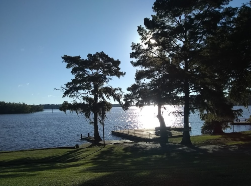 A serene lakeside view with two trees silhouetted against the sun reflecting on the water.
