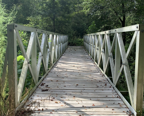 A wooden bridge with a crisscross pattern, surrounded by greenery and fallen leaves, leading into a forested area.