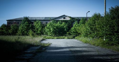 Abandoned building partially obscured by overgrown trees, with a cracked road leading towards it under a clear blue sky.