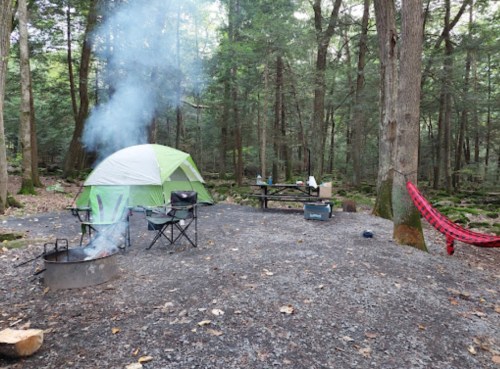 A campsite in a forest with a green tent, a smoky fire pit, picnic table, and a hammock hanging between trees.