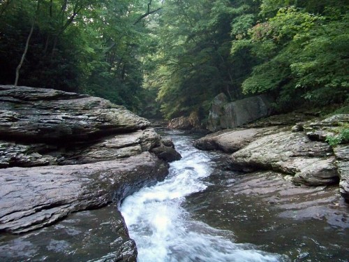 A serene river flows between rocky banks, surrounded by lush green trees in a tranquil forest setting.