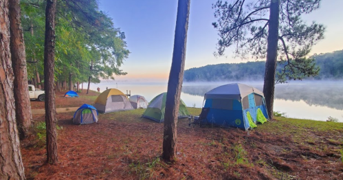 A serene lakeside campsite with several tents surrounded by trees and morning mist over the water.