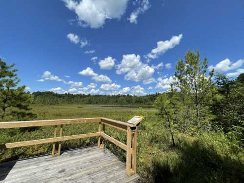 A wooden observation deck overlooks a lush wetland under a bright blue sky with fluffy white clouds.