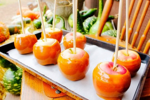 A tray of caramel apples on sticks, with colorful gourds in the background.