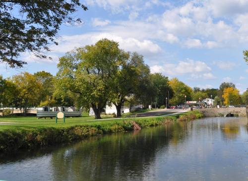 A serene view of a river with trees and a park, alongside a road with buildings in the background under a blue sky.