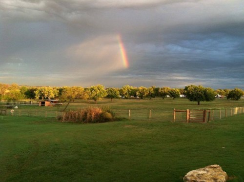 A vibrant rainbow arcs over a green field with trees and a fence under a cloudy sky.