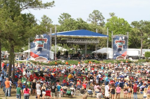 A large crowd gathers at an outdoor music festival with a stage and trees in the background.