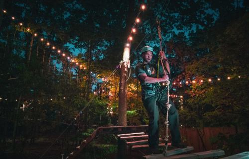 A person swings on a rope in a forest illuminated by string lights at night.