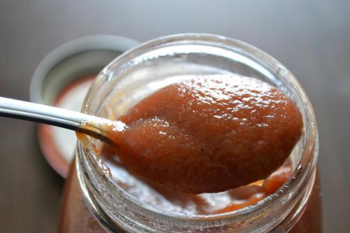 A spoonful of thick, reddish-brown sauce being lifted from a glass jar.