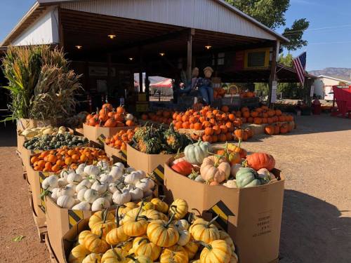 A pumpkin stand with various pumpkins and gourds displayed outside a rustic barn, with decorations and an American flag.