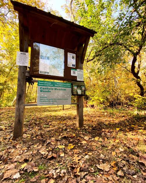 A wooden information board in a wooded area, surrounded by autumn leaves and trees with colorful foliage.