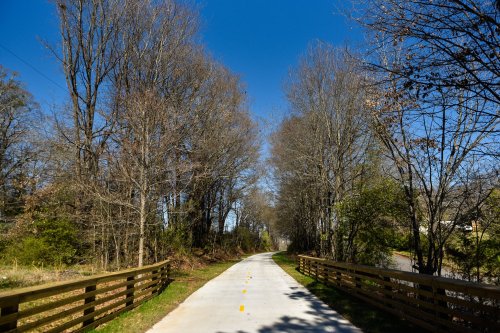 A paved path lined with bare trees and wooden fences under a clear blue sky.