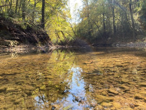 A serene creek surrounded by trees, reflecting autumn colors on the water's surface.