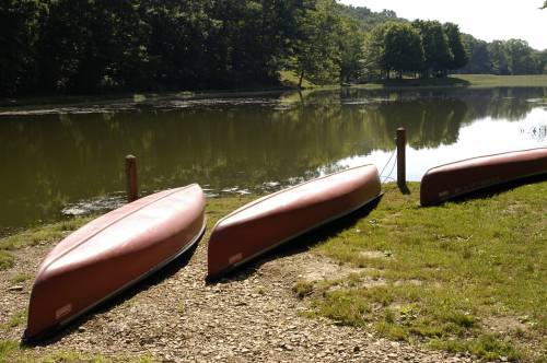 Three red canoes are lined up on the shore of a calm lake, surrounded by green trees and a clear blue sky.