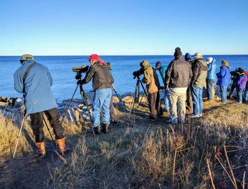 A group of people with binoculars and cameras observing the water from a rocky shore on a clear day.