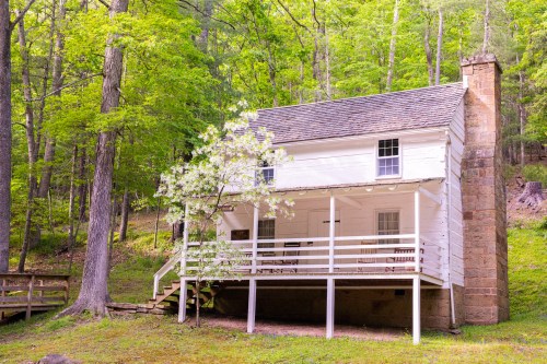 A charming white house with a porch, nestled among lush green trees in a serene forest setting.