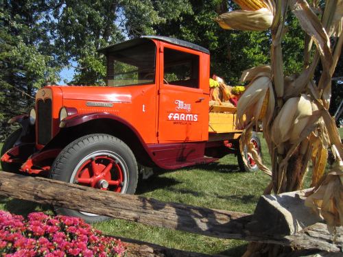 A vintage red truck with "May Farms" painted on the side, surrounded by autumn decorations and corn stalks.