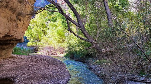 A serene river flows through a lush green canyon, surrounded by trees and rocky cliffs.