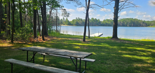 A serene lakeside view with a wooden picnic table in the foreground, surrounded by trees and a clear blue sky.