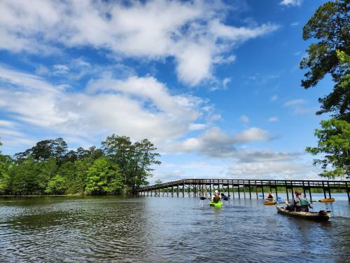 A serene river scene with kayakers paddling under a wooden bridge, surrounded by lush greenery and a blue sky.