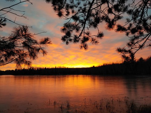Sunset over a calm lake, with vibrant orange and yellow hues reflecting on the water, framed by pine branches.