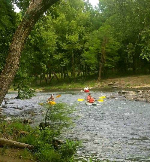 Two kayakers navigate a river surrounded by lush green trees and rocky banks on a sunny day.