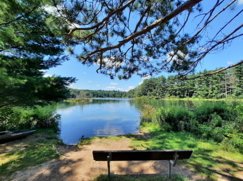 A serene lake view framed by trees, with a bench overlooking the water under a clear blue sky.