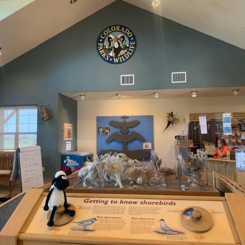 Interior of a visitor center with wildlife displays, a stuffed penguin, and a sign for Colorado Parks & Wildlife.
