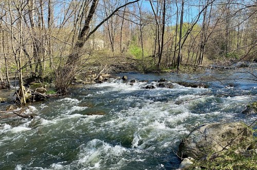 A flowing river surrounded by bare trees and greenery, with rocks visible in the water under a clear blue sky.
