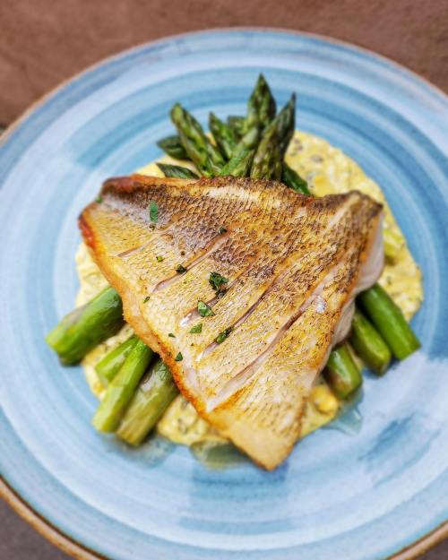 Grilled fish fillet atop asparagus, served on a blue plate with a creamy sauce and garnished with herbs.