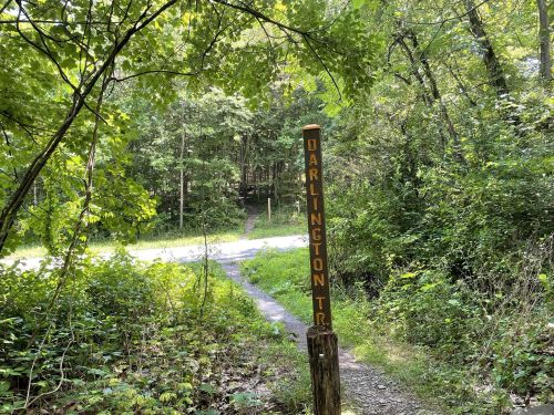 A wooden trail sign for "Darlington Trail" stands at the edge of a wooded area, with a path leading into the trees.