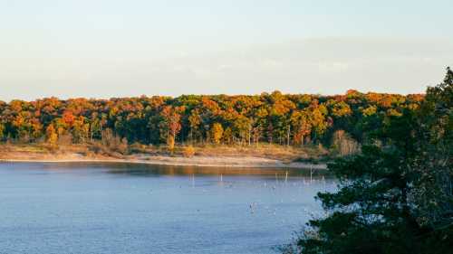 A serene lake surrounded by trees displaying vibrant autumn colors under a clear sky.