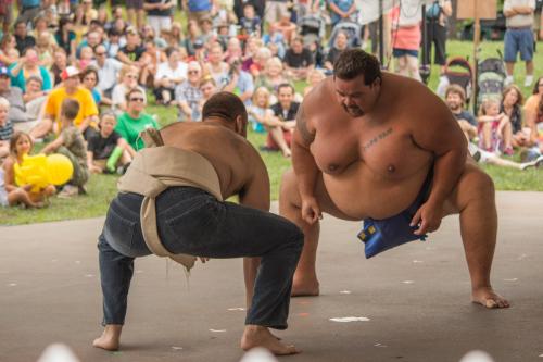 Two sumo wrestlers face off in a ring, with a large crowd watching in the background.