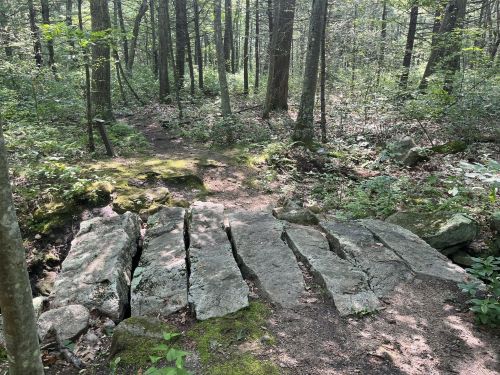 A rocky footbridge spans a forest path, surrounded by lush greenery and tall trees in a serene woodland setting.