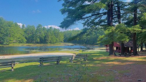 A serene lake surrounded by trees, with a sandy area and a small red cabin in the foreground under a clear blue sky.