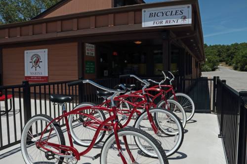 Bicycles for rent lined up outside a rental shop with a wooden building and a sign.