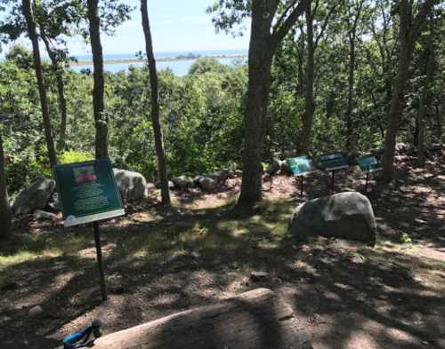 A wooded area with signs and rocks, overlooking a body of water in the distance on a sunny day.