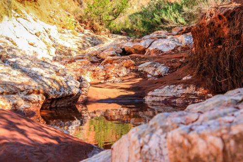 A rocky creek bed with red soil and a small pool of water, surrounded by greenery and sunlit rocks.