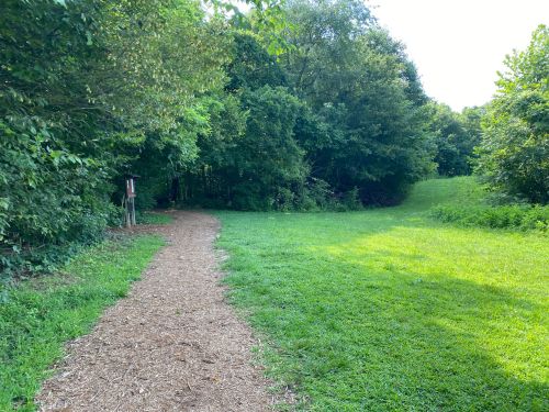 A winding dirt path through lush greenery, leading into a wooded area and an open grassy field.