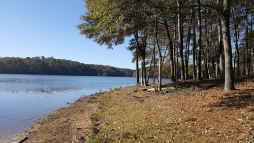 A serene lakeside view with trees lining the shore and autumn foliage under a clear blue sky.