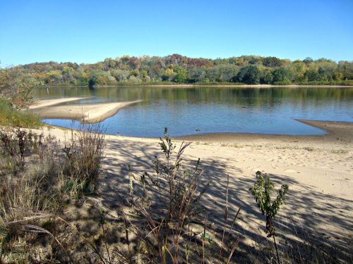 A serene riverbank scene with sandy shores, gentle water, and lush greenery under a clear blue sky.