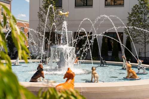 A decorative fountain featuring playful dog sculptures surrounded by water jets in a sunny outdoor setting.