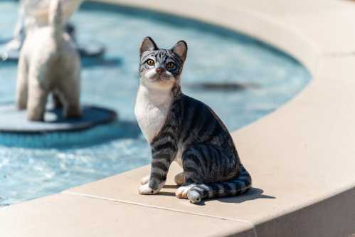 A realistic cat statue sits beside a fountain, with a clear blue water background.