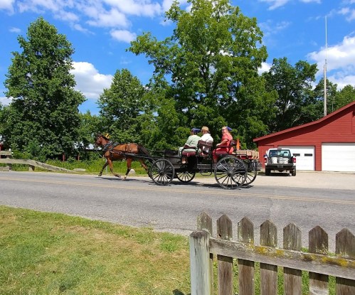 A horse-drawn carriage with two passengers passes by a red barn on a sunny day. Green trees line the road.
