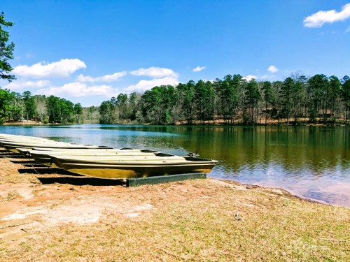 A serene lake surrounded by trees, with boats lined up on the shore under a clear blue sky.