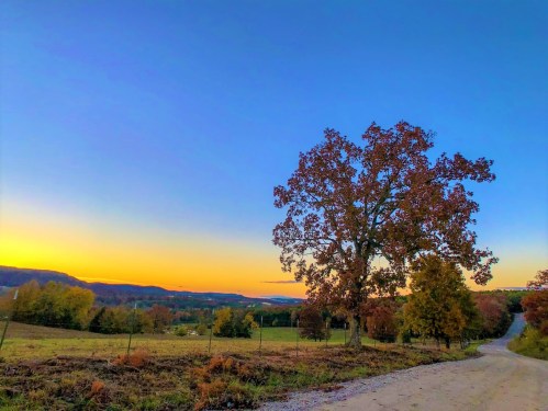 A serene landscape at sunset, featuring a tree beside a gravel road, with rolling hills and a clear blue sky.