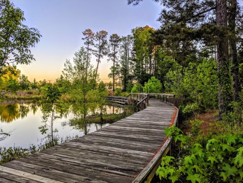 A wooden boardwalk winds through lush greenery beside a calm pond, with trees lining the water's edge at sunset.