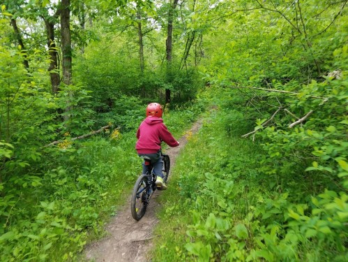 A child in a red helmet rides a bike along a narrow, green trail surrounded by lush trees and foliage.