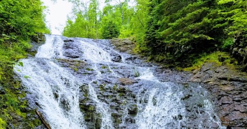 A cascading waterfall flows over rocky terrain, surrounded by lush green trees and foliage.