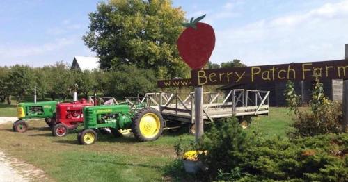 Two vintage tractors, one red and one green, parked near a sign for Berry Patch Farm, surrounded by greenery.